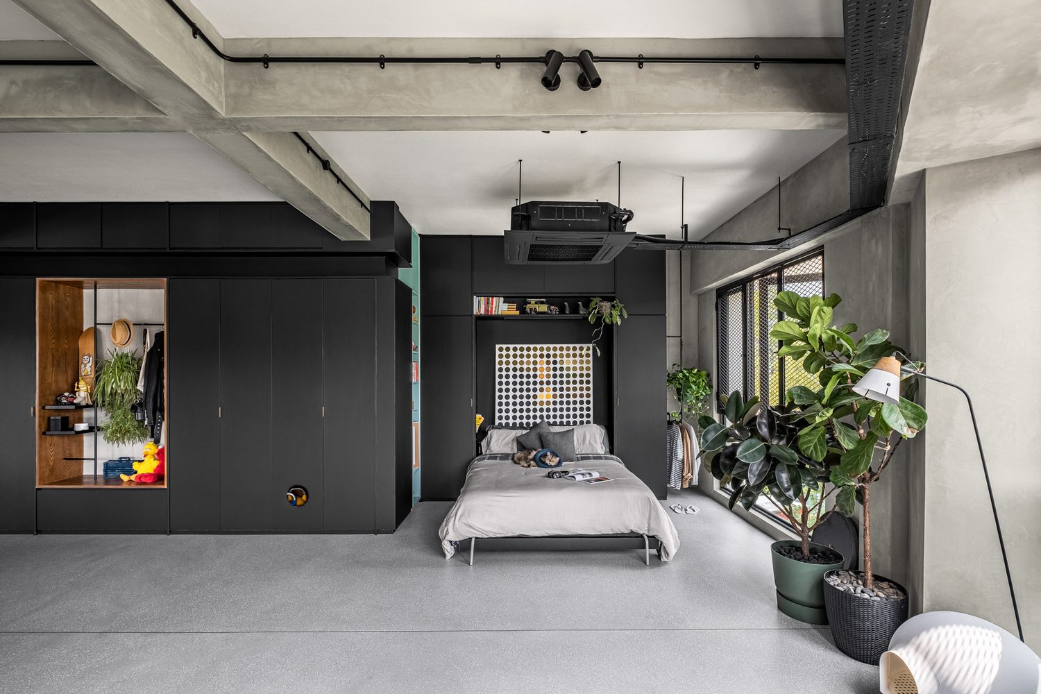 The bedroom — a fold-down bed within black joinery, a dotted artwork and a fiddle-leaf fig