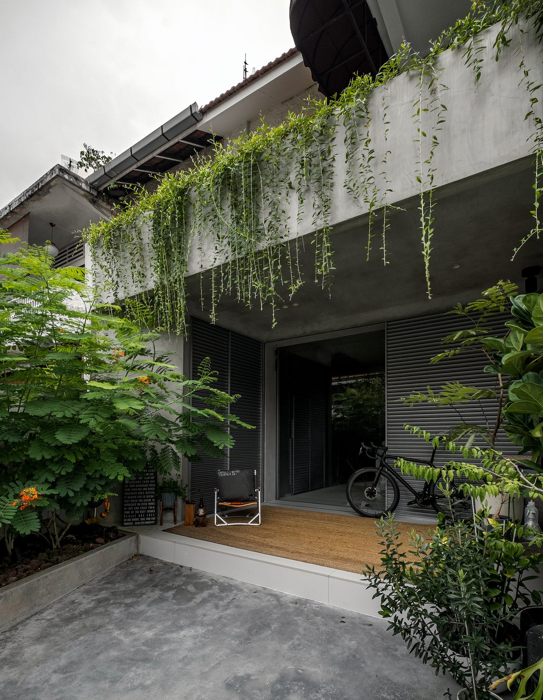 The entrance court — trailing greenery over board-formed concrete, a bicycle at the sliding door