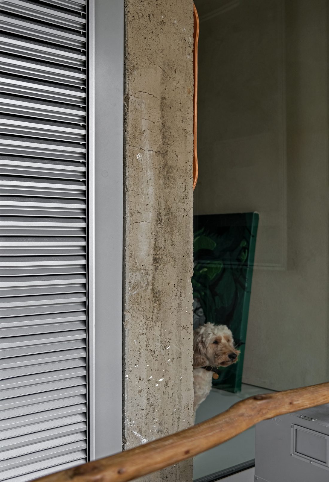 A weathered concrete column at the stair, a dog glimpsed through the opening